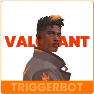 Valorant cheats product by Play With Cheats