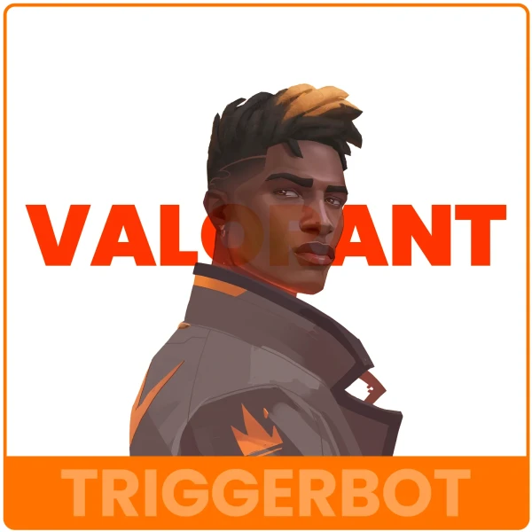 Valorant cheats product by Play With Cheats