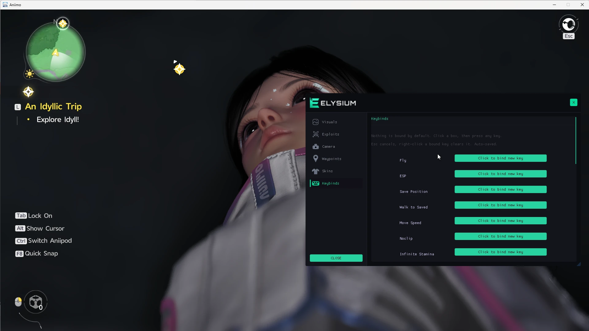 Aniimo cheat – keybinds tab