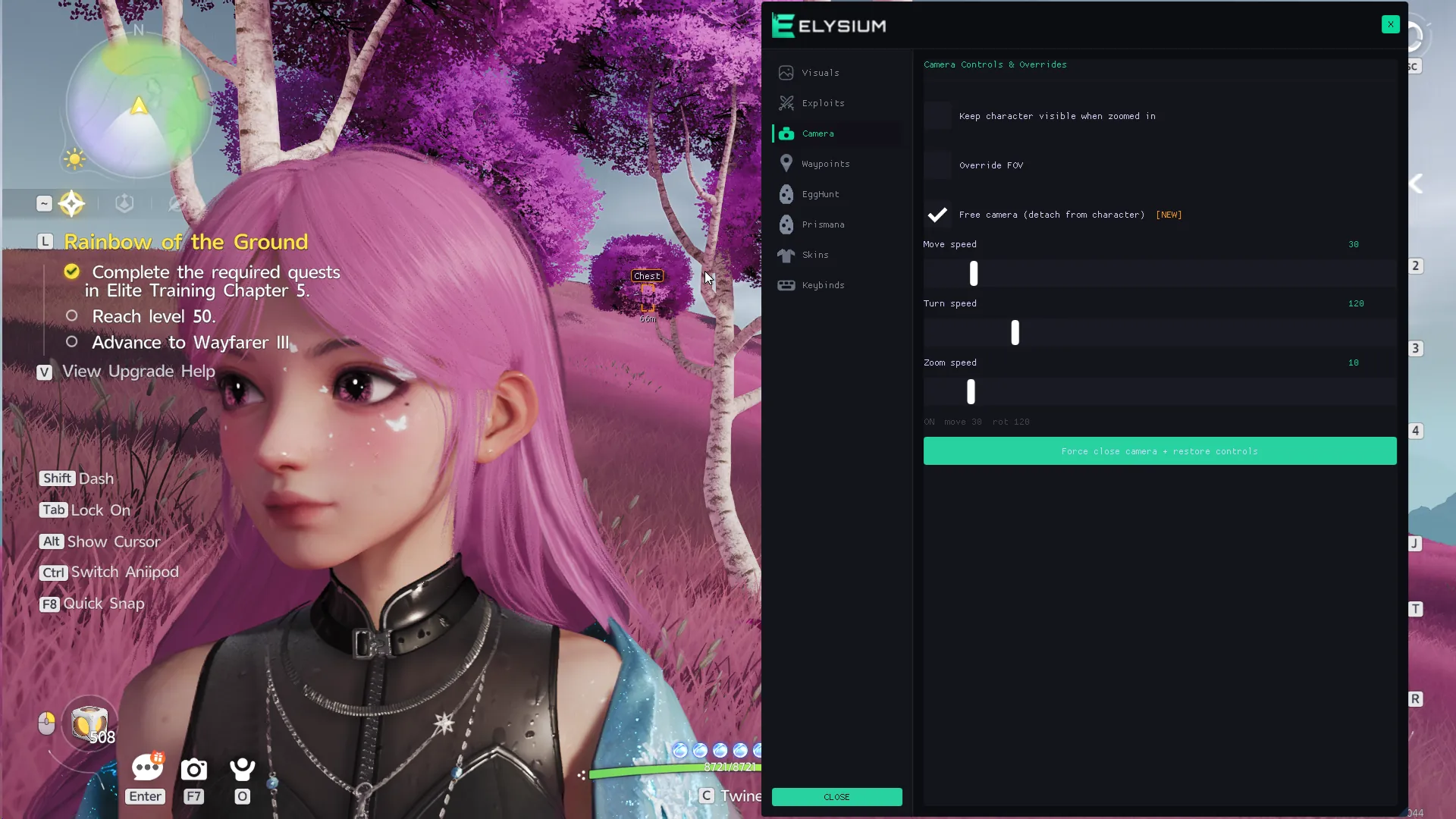 Aniimo camera hack menu
